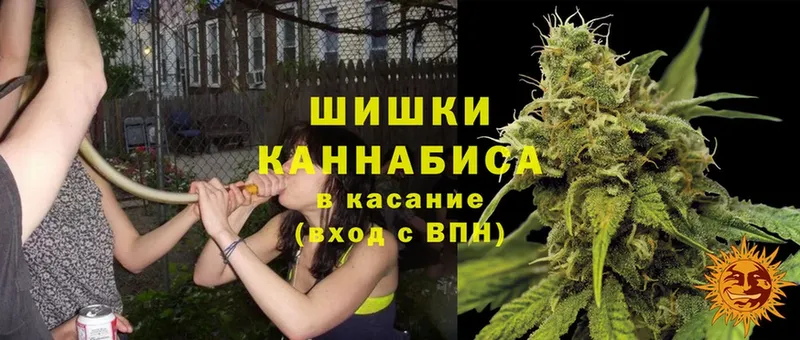 Бошки марихуана LSD WEED  сколько стоит  Каневская 